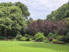 -上海共青森林公园