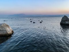 -洱海月湿地公园