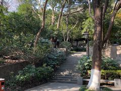 -杭州半山国家森林公园