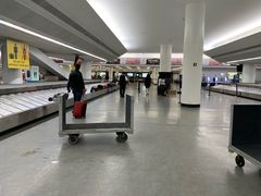 -约翰·菲茨杰拉德·肯尼迪国际机场