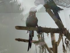 -青藏高原野生动物园