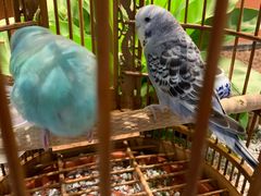 -老湘亲·品鉴湘菜(蔡塘爱琴海店)