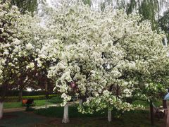 -元大都城垣遗址公园