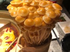 -麻路成都火锅(柏威年店)
