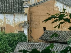 -杨家堂村