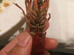 -星伦多自助料理(华润万象城店)