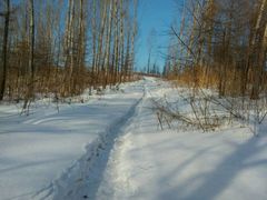 皇后奶茶-皇后餐厅-煲仔·小菜·打边炉(古北店)