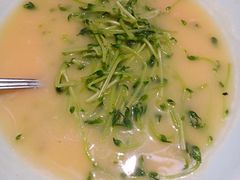 豆汤豆苗-绿茶餐厅(乐峰广场店)