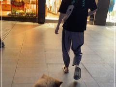 -古茗(南坪万达步行街店)