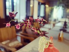 -云座·时光·观景咖啡厅(五爷庙店)