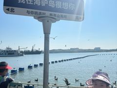 -海驴岛(荣成市)