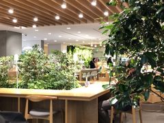 -新世界百货(明洞总店)