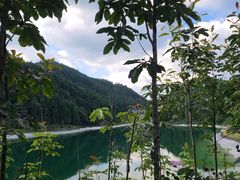 -武陵山森林公园