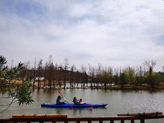 -上海长兴岛郊野公园