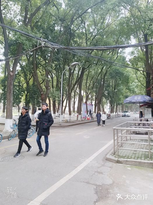 武汉理工大学(余家头校区)图片