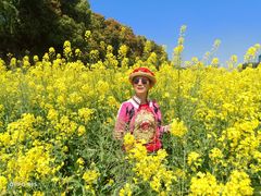 -浦星公路-路侧停车位