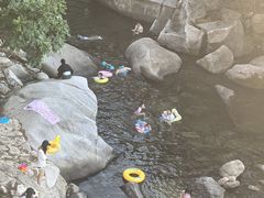 -崂山水果园农家宴(泉水鸡店)
