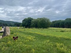 -北极村旅游风景区