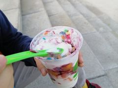 -Salud撒露欧洲冻酸奶(蓝色港湾店)