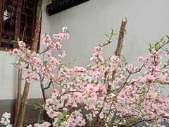 -上海方塔园