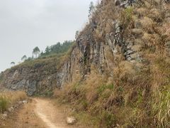 -黄埔油麻山森林公园