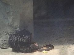 -宁波野生动物园