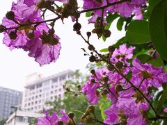 -星海音乐学院(沙河校区)