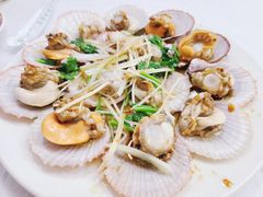油泼扇贝-1910老鲁味海鲜·戳子肉·青岛菜(金沙滩店)