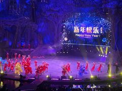 -广州长隆国际大马戏