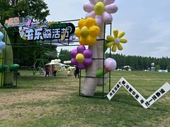 -黄海国家森林公园