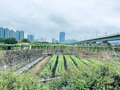 -光明小镇欢乐田园