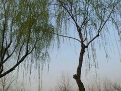 -蜀冈西峰生态公园