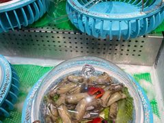 -大清花饺子城(昌黎店)