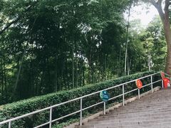 -上海佘山国家森林公园西佘山园