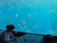 -瑞德姆美人鱼海底演艺主题餐厅(亚龙湾店)