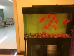 -西美医疗美容门诊部