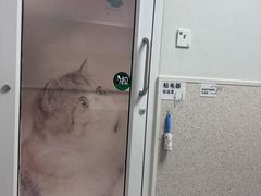-谐和贝康宠物医院24小时·宠保定点(急重症转诊中心)