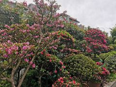 -桂林碧玉国际大酒店-碧玺茶餐厅