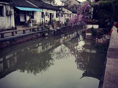 -猫的天空之城概念书店(苏州平江店)