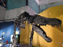 -湖南省地质博物馆