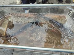 -南京金牛湖风景区