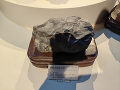 -涠洲岛火山国家地质公园