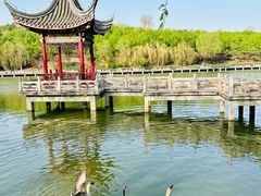 -北宫国家森林公园