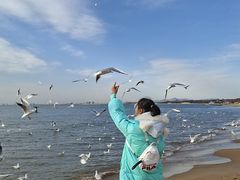 -老虎石海上公园