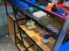 -黑猫馋纸包鱼(阳光店)