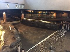 -元代水闸遗址博物馆