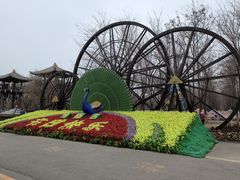 -呀路古热带植物园
