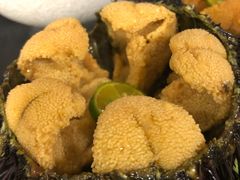 -海胆小馆(东北水饺·春柳店)