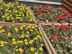 -渔鱼酷私房烤鱼(定兴店)