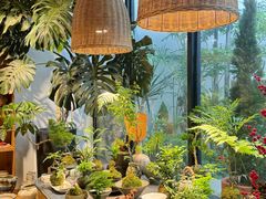 -自由生长植物工作室(深港花卉中心店)